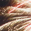 fireworks displays,fireshows,pyrotechnics