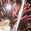 fireworks displays,fireshows,pyrotechnics